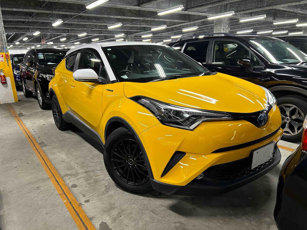 2019 Toyota C-Hr